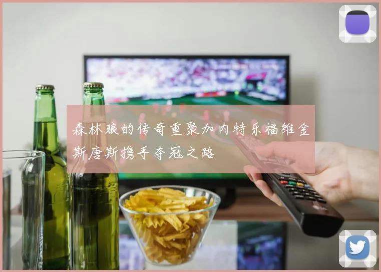 森林狼的传奇重聚加内特乐福维金斯唐斯携手夺冠之路